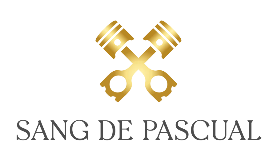logo rally sang de pascual partner